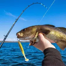 10pcs Soft Worm Lures 7-13cm PVA Baits #5