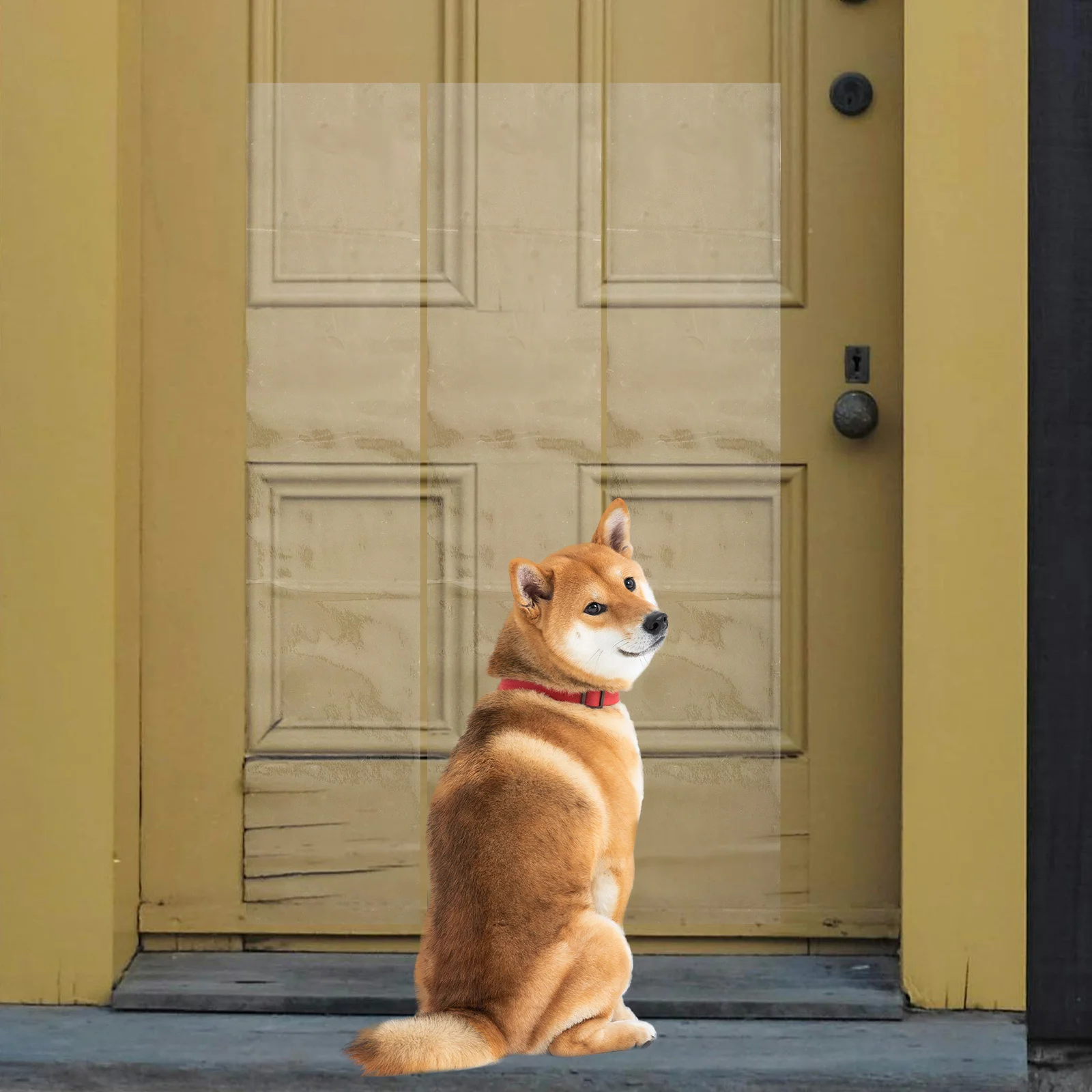 

4Pcs Door Protector from Dog Scratching Clear Pet Scratch Shield Door Frame Window Sill Chair Wall Guard Anti Scratch Furniture