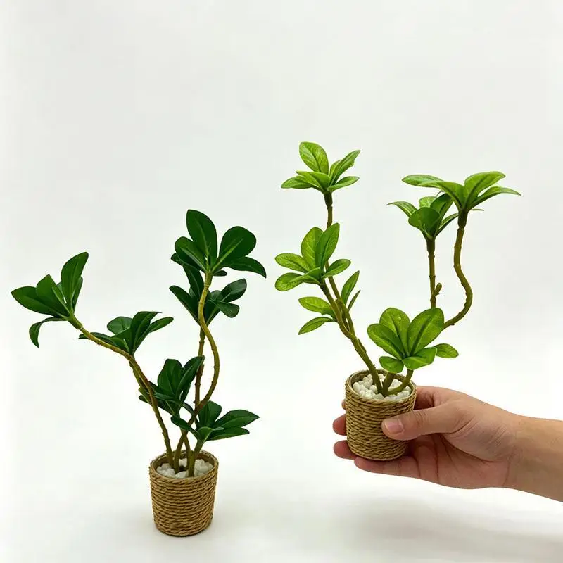【M】1Pcs Mini Fairy Garden Decorative Ornament 1/6 Scale Miniature Dollhouse Green Potted Plant Bonsai For Doll Accessories Toy