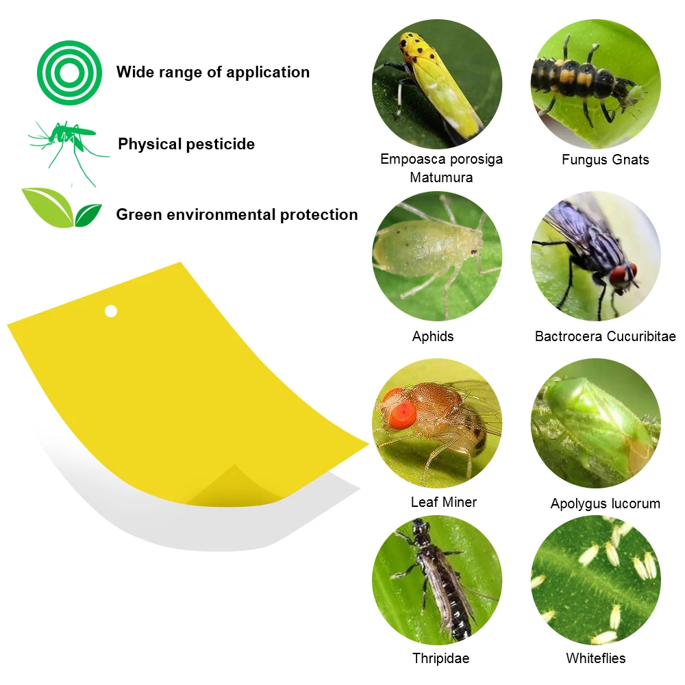 Yellow Flying Insect Catching Control Sticker 30/50 pcs for Greenhouse Home Garden Insects Glue Sticky Board Trap Double-sided