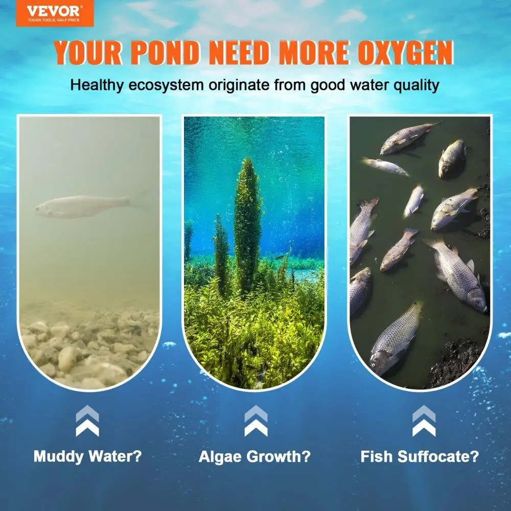 Aerator 550W Power 5.2CFM 3 Acre 50FT 3/4 Compressor Timer Valves for deep Water Oxygen Circulation for pond Lake No Diffuser