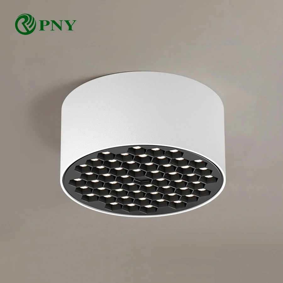 

PNY LED Ceiling Spotlight Good Quality Small Ceiling Lamp For Corridor Living Room Bedroom 12W 20W 30W Surface Mount Spot Light