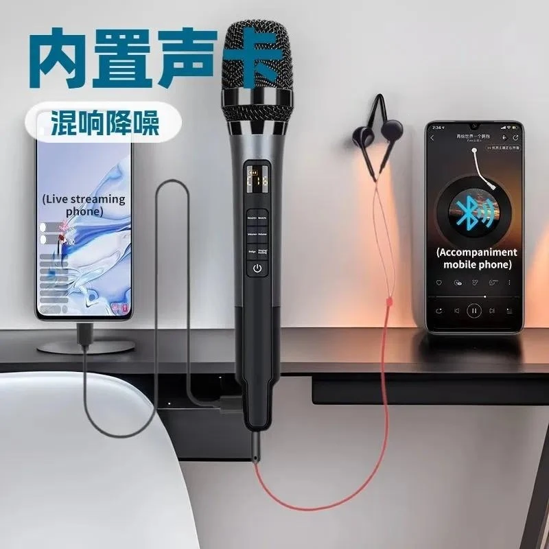 BOLRZO New popular reverb microphone microphone singing KTV home outdoor heart pointing sound card microphone integrated