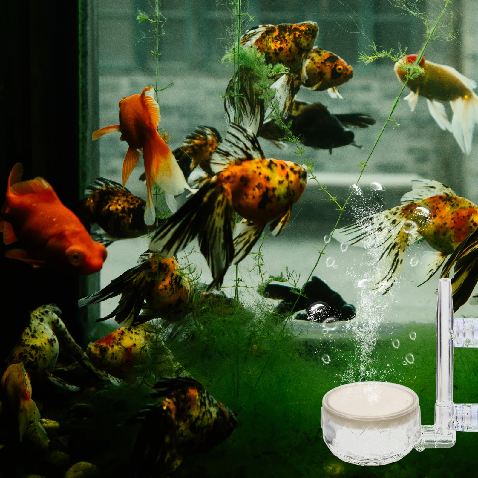 

Aquarium Bubble Air Stone Fish Tank Oxygen Diffuser Air Pump Accessory Hydroponic System Compact Durable Aquarium Bubbler