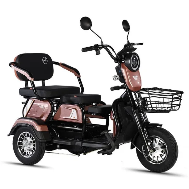 Beiz brand electric tricycles high power 72V 1000W cargo and passenger e bike with factory price for all people