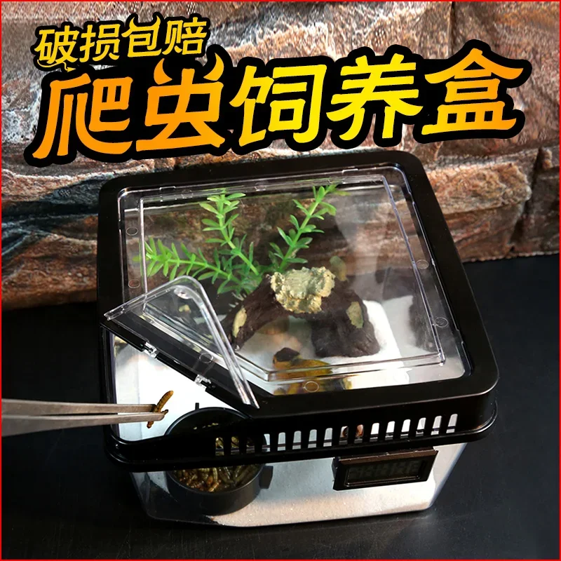 Small-sized Feeding Box Plastic Transparent Scorpion-keeping Lizard-keeping Lizard Breeding  Land-tortoise-worm Insect 