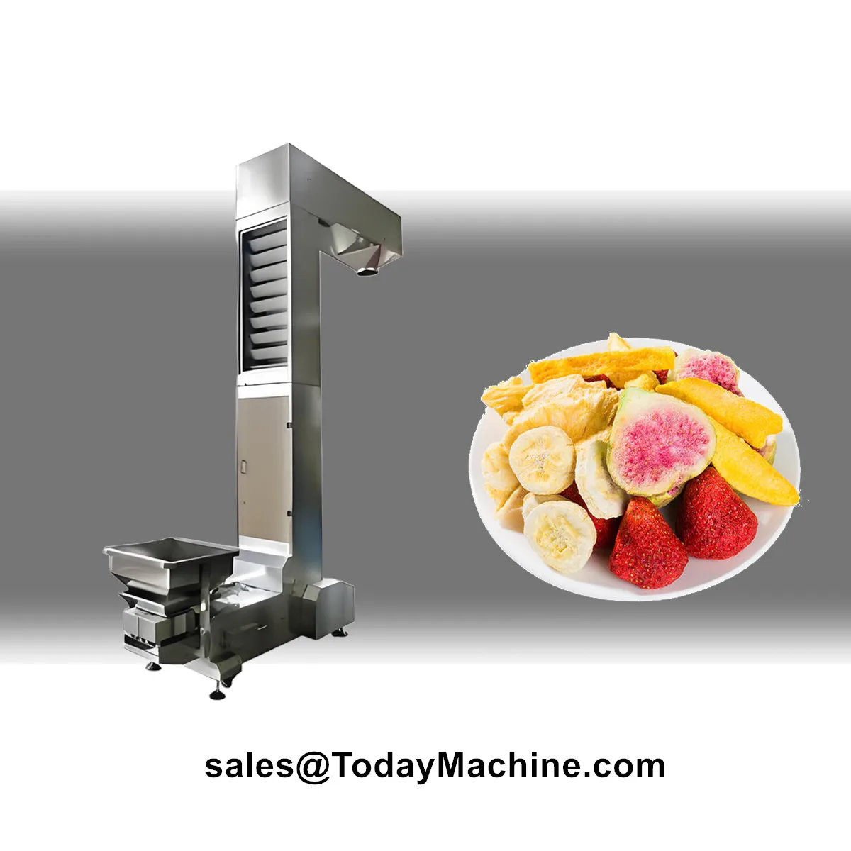 Trasportatore a vite per ascensore con benna verticale tipo Z per fagioli di cacao e arachidi