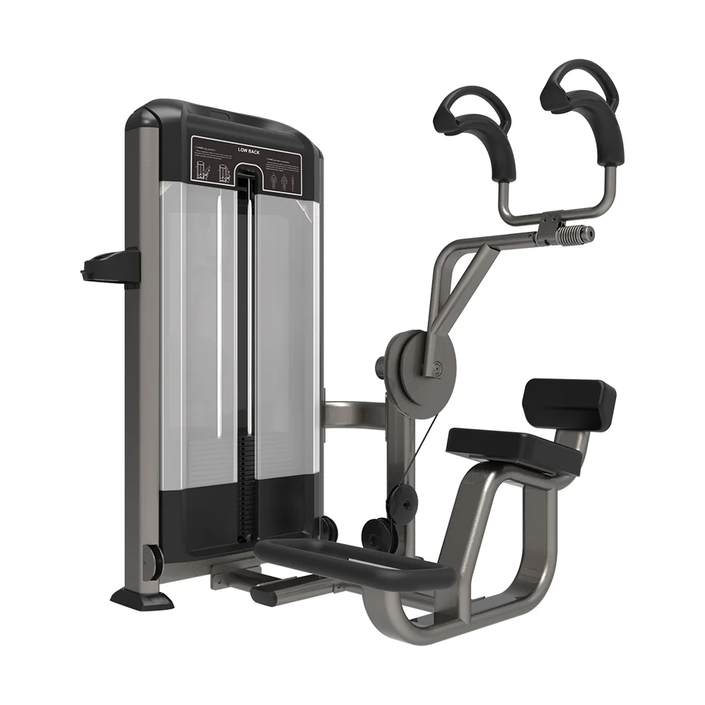 Máquina de Ejercicio Abdominal Profesional Personalizada para Gimnasio, con Carga de Pesas, para Entrenamiento Deportivo y Fitness, Tipo Ab Coaster, Isolator Abdominal, Crunch Abdominal