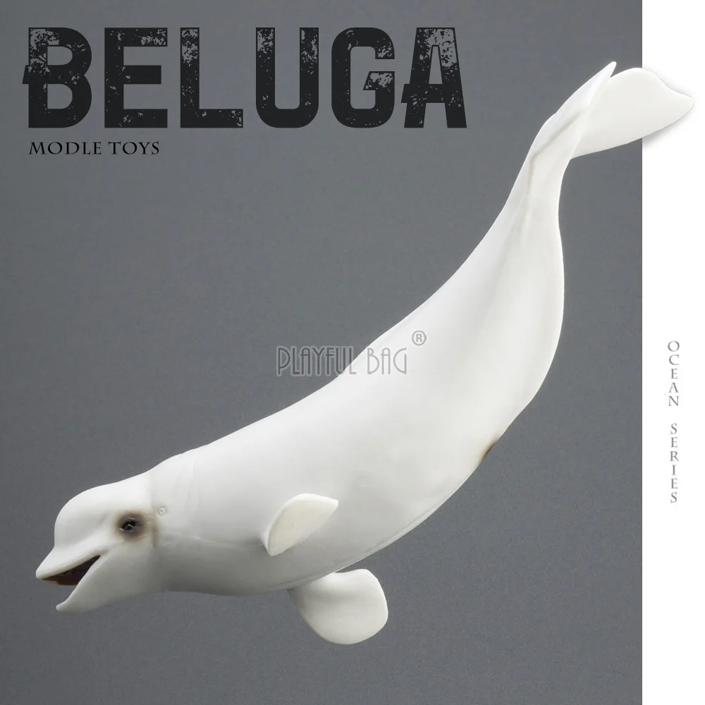 Realistic Beluga Whale Solid Model PVC Ocean Animal Toy & Marine Life Collectible Display Statue Gift for Kids HG127