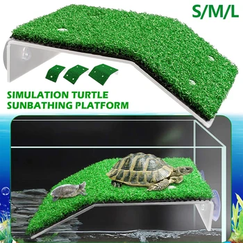Turtle Climbing Platform Ramp 1