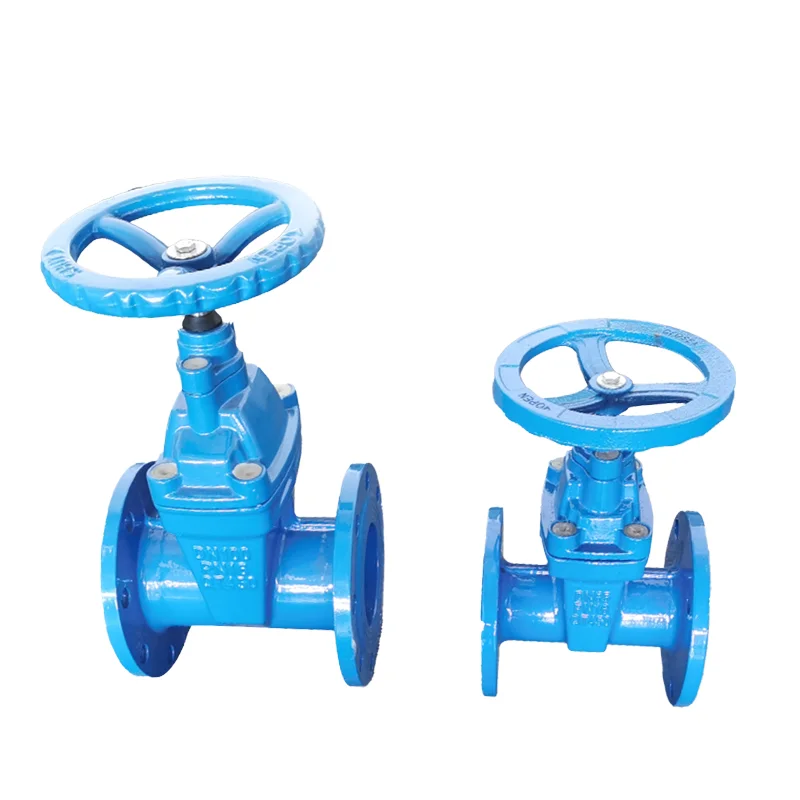 PN10/PN16 DN150 Non Rising Stem Standard Water Manual Power Factory's Complete Models Ductile Iron Flange Gate Valve