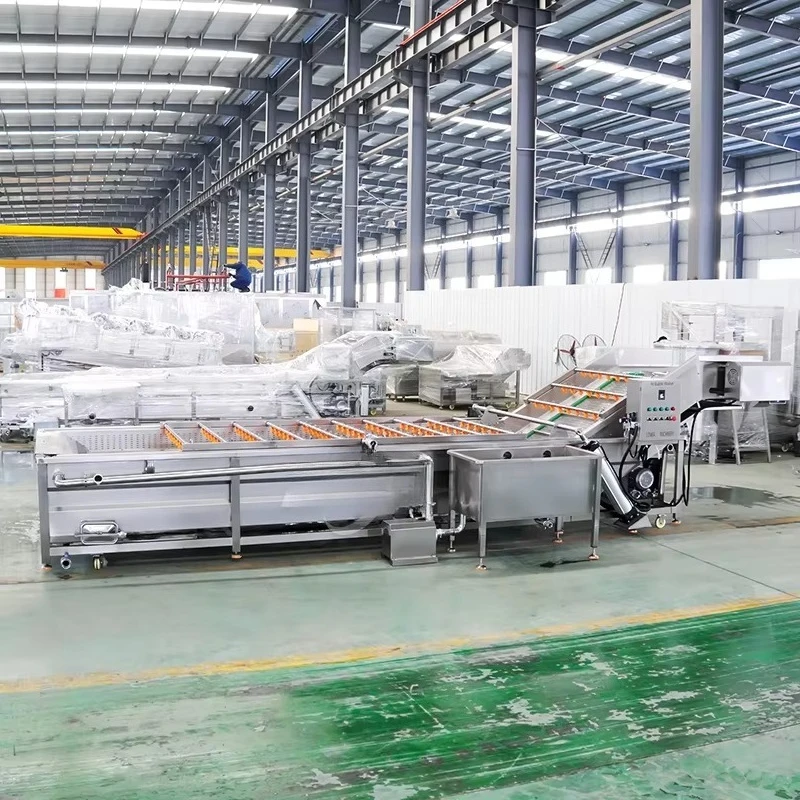 Sus 304 Avocado Ozone Vegetable Washing Machine Cabbage Cleaner Fruit Washer Carrots Cleaning Machine Lettuce Washer