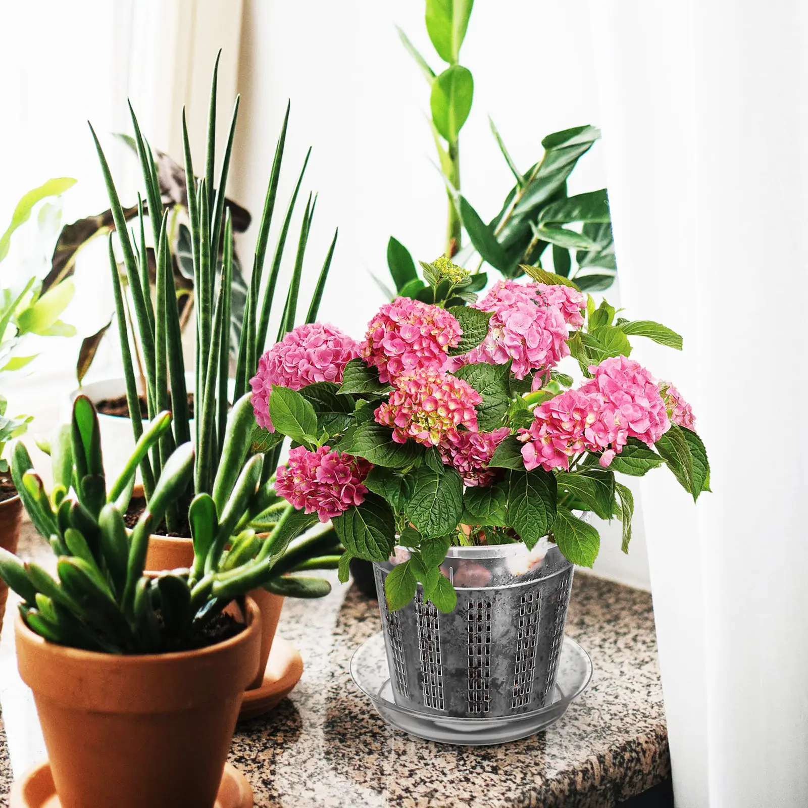 

8 шт. прозрачных пластиковых горшков для орхидей с дренажными отверстиями, полые цветочные горшки с прорезями для выращивания растений в помещении и на улице