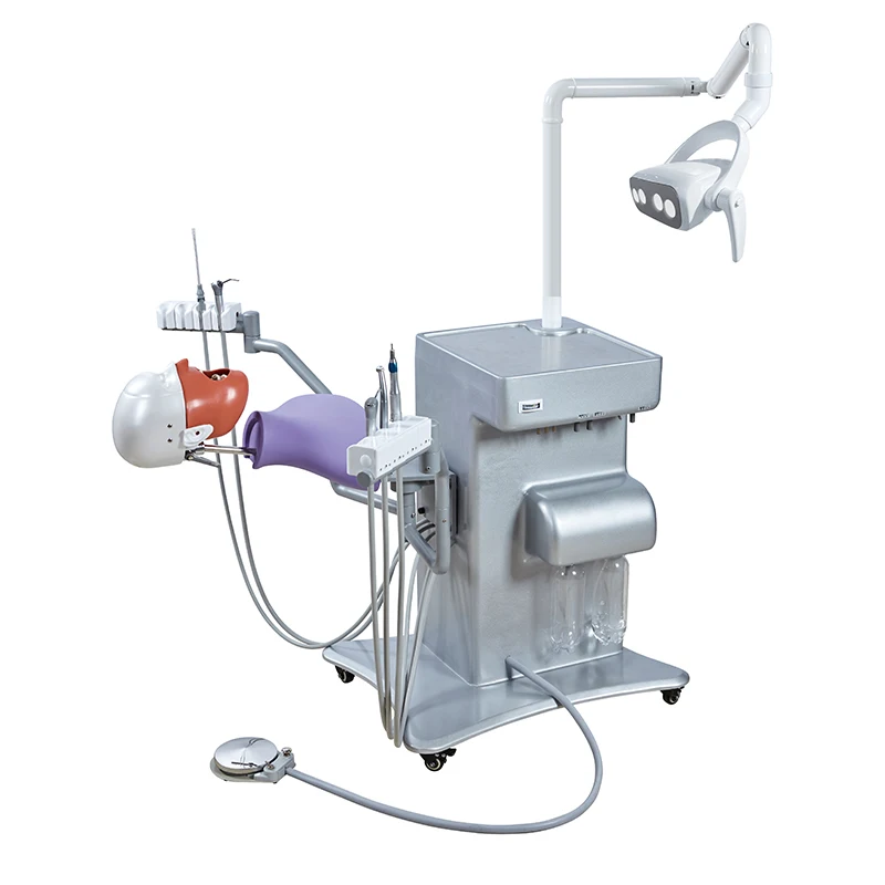 Dental Teaching Unit System Dental Phantom Head Simulator For Medical School