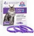 3Pc Cat 38cm-Purple