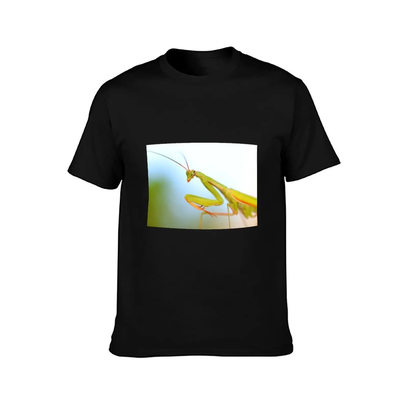 Macro of Mantis T-Shirt, Summer Casual Cotton Tee, Oversized Streetwear Tops, Vintage Graphic Print, Loose Fit Short Sleeve