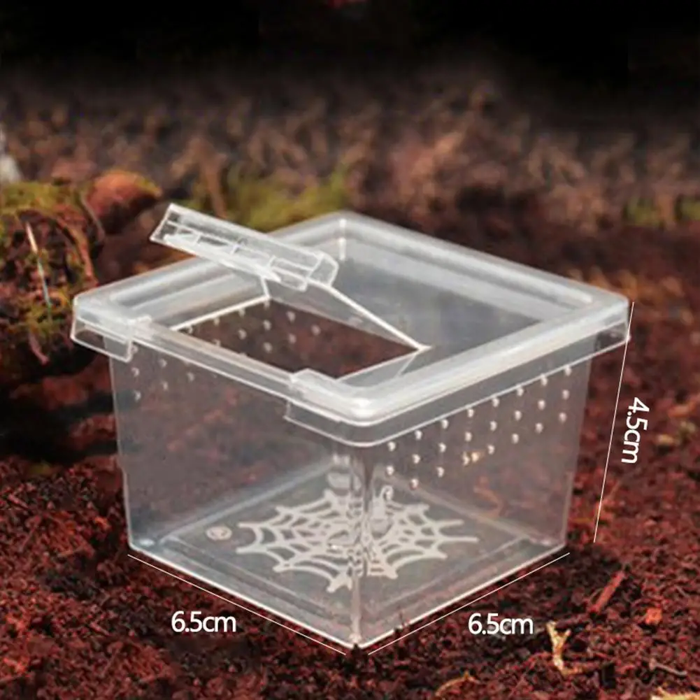 Reptile Breeding Box With Flip Cover Transparent Breathable For Frogs Snake Spider Drop Shipping