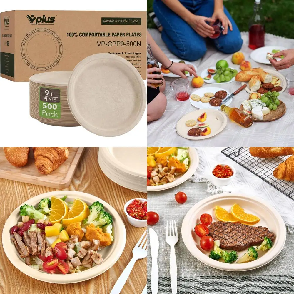 

9 Biodegradable Paper Plates, 500 Count, Heavy-Duty, Eco-Friendly Bagasse Plates from Sugarcane