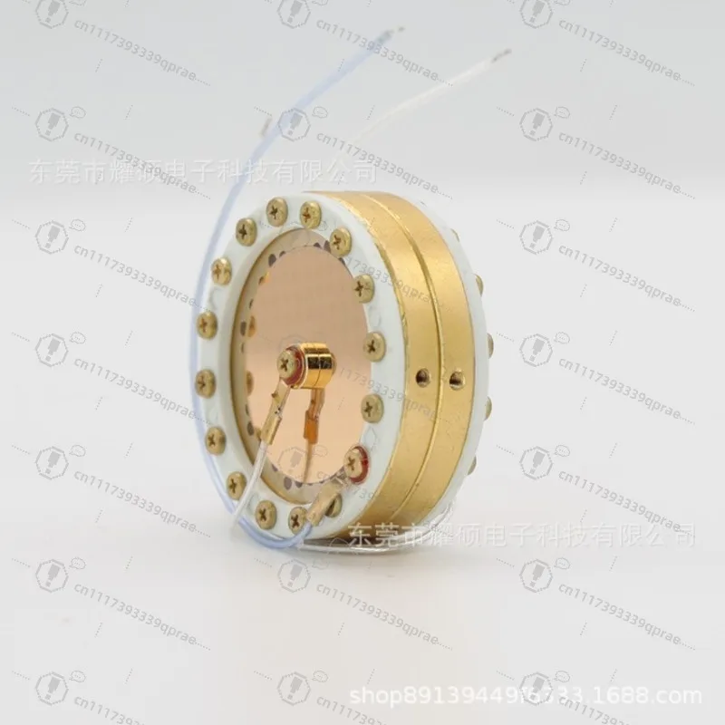 U87 Gold Diaphragm Condenser Microphone Capsule, Large Diaphragm Mic Core for DIY Studio Recording Microphone