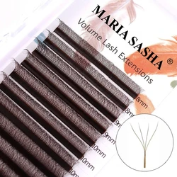 MARIA Brown 4D W Shape Type Individual Eyelash Colorful Lashes Extension Naturally Soft Real Black Mink Premade Volume Fans