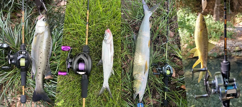 Kingdom Micro Expert Stream Angelrute 1,49 m 1,5 m 1,65 m 1,8 m Ultraleichte MF Action FUJI A 24 + 30T Carbon Fiber Stream Reiserute – Detail 1