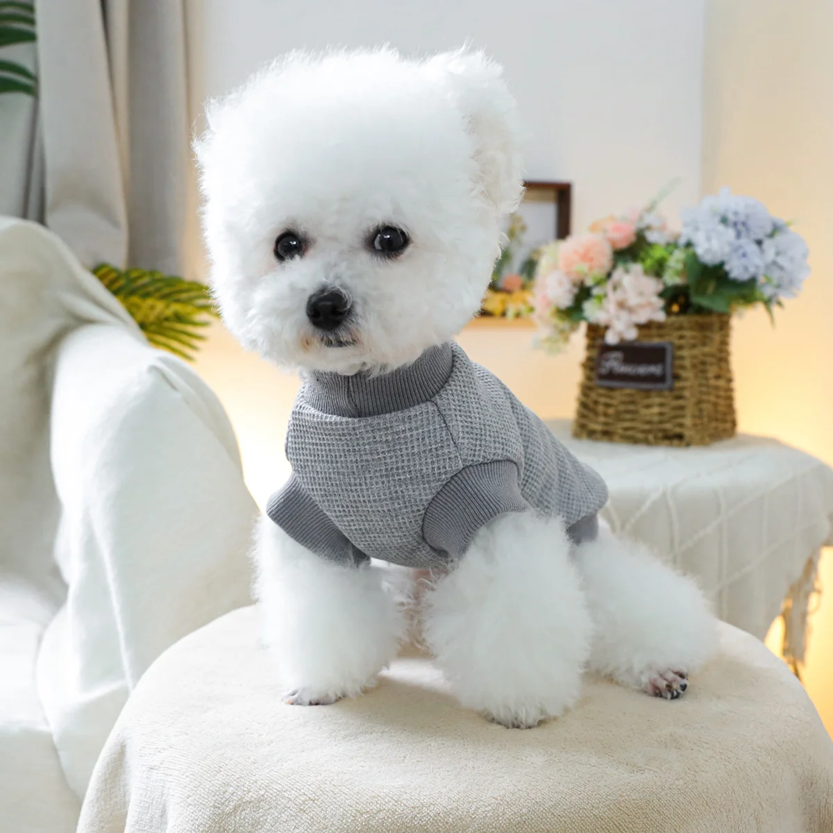 1PC pet clothing dogs spring and autumn gray cubs elastic, Walv Gee vest suitable for small and medium -sized dogs