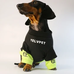 Fashion Dog Clothes For Dachshund French Bulldog Spring Warm Pet Clothing Dog Jacket Pug Sweater Jumpsuit For Samll Media Dogs