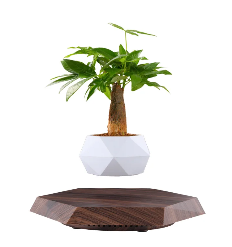 

Maglev Pot Plant for Home Decoration, Desk Accessories, Aesthetic Room Decor