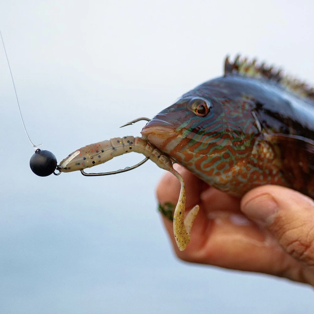 Elite tg 10 peças de tungstênio cheburashka peso de chumbada, 1g-30g cabeça de gabarito preto para isca macia baixo wake tipo de peixe isca de pesca