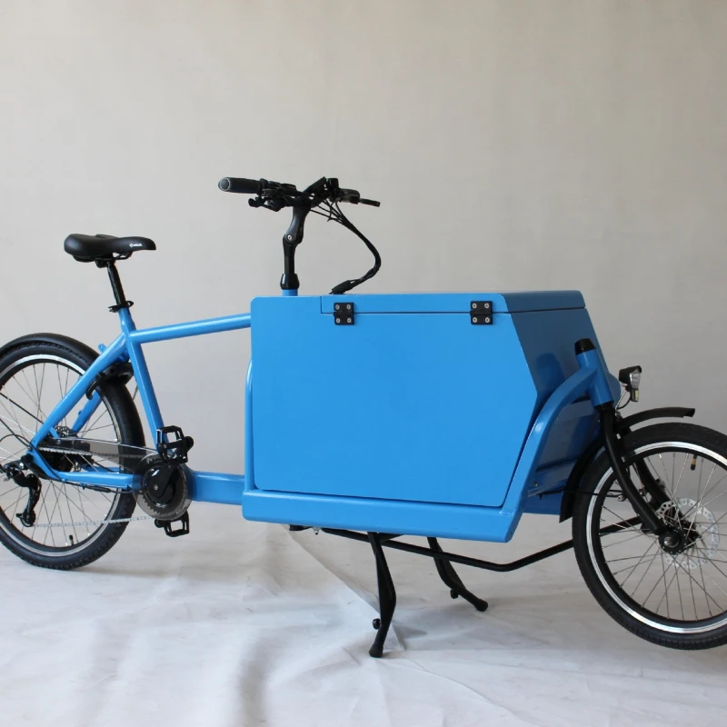 Cargo express takeaway bike European export bike