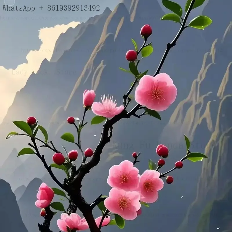 Professional Radiofrequency Lipolaser 6 in 1 Vacuum Therapy Cavitation 40k System Cavitation Skin Fat Removal Slimming Machin