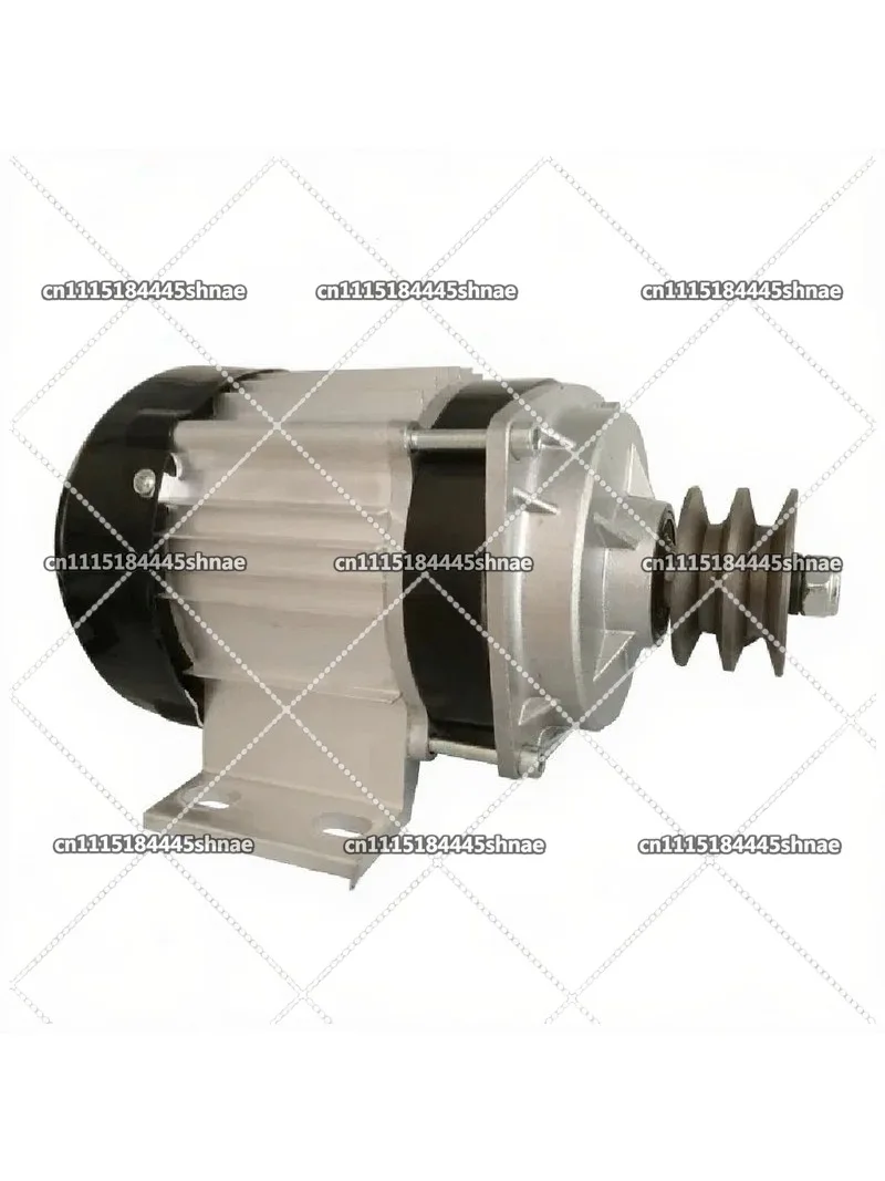 DC 24V 48V 60V 500W 1000W Brushless Motor Electric Motor DC Brushless Motor Mower Grass Feeder Equipment Customization Pulley