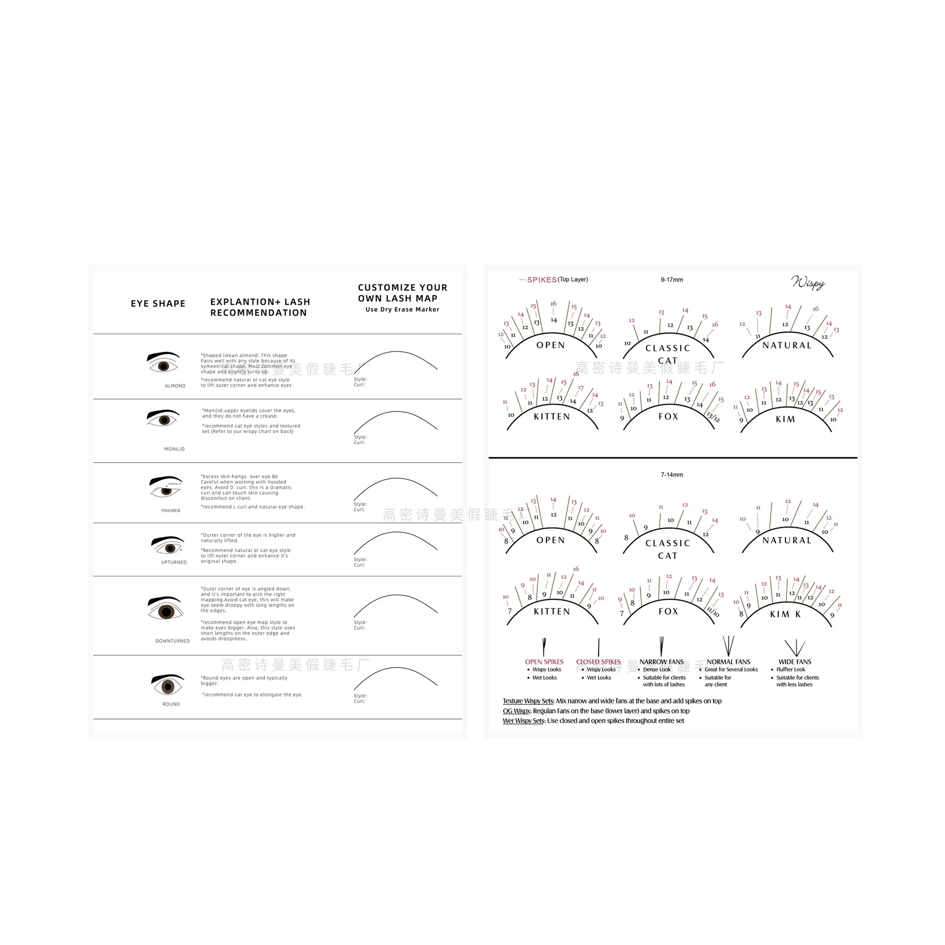 100 pz Principiante Lash Mappa Grafico Ciglia Wispy Forma di Occhio Spugne Riutilizzabili Estensione Delle Ciglia Pratica Lash Mappatura Trucco RX