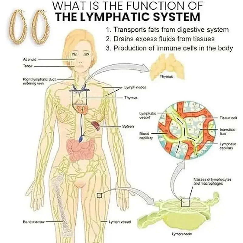 Lymphatic Drainage Slimming Hoop Earring Flysmus Halolux Lymphvity Magnetotherapy Germanium Earrings Acupuncture Therapy Earring