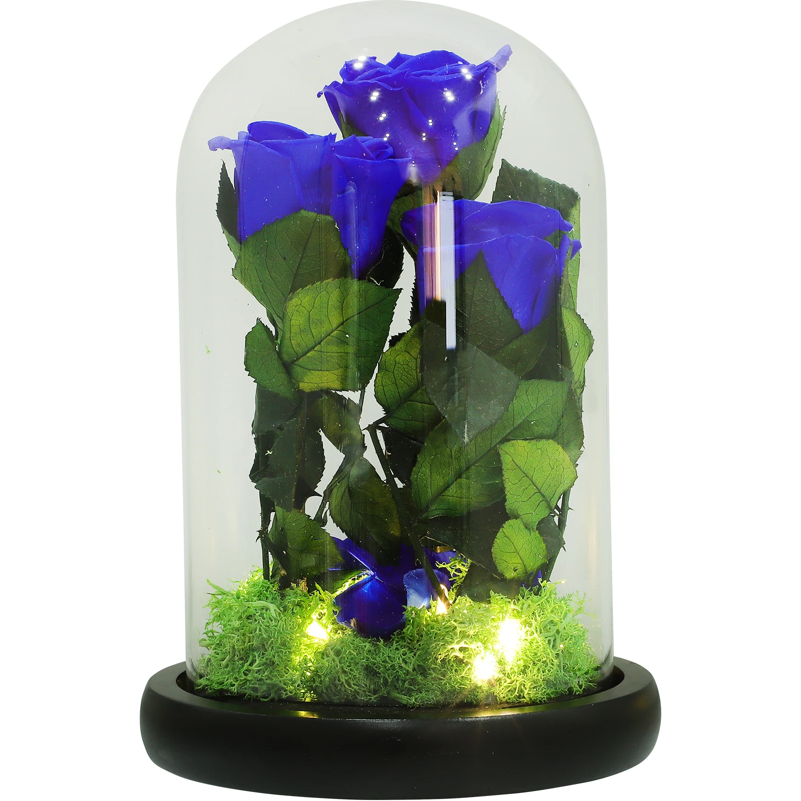

Eternal Flower Gift Box Premium Glass Material Valentine's Day Wedding Bouquet Home Decoration Dry Flower Bottle Birthday Party