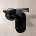 Negro