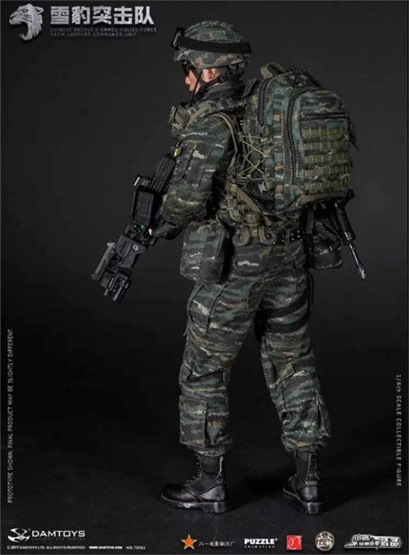 DAMTOYS 78052 1/6 Soldier Chinese People's Armed Snow Leopard Commando Full Set 12'' Action Figure Model Toy In Stock Collection