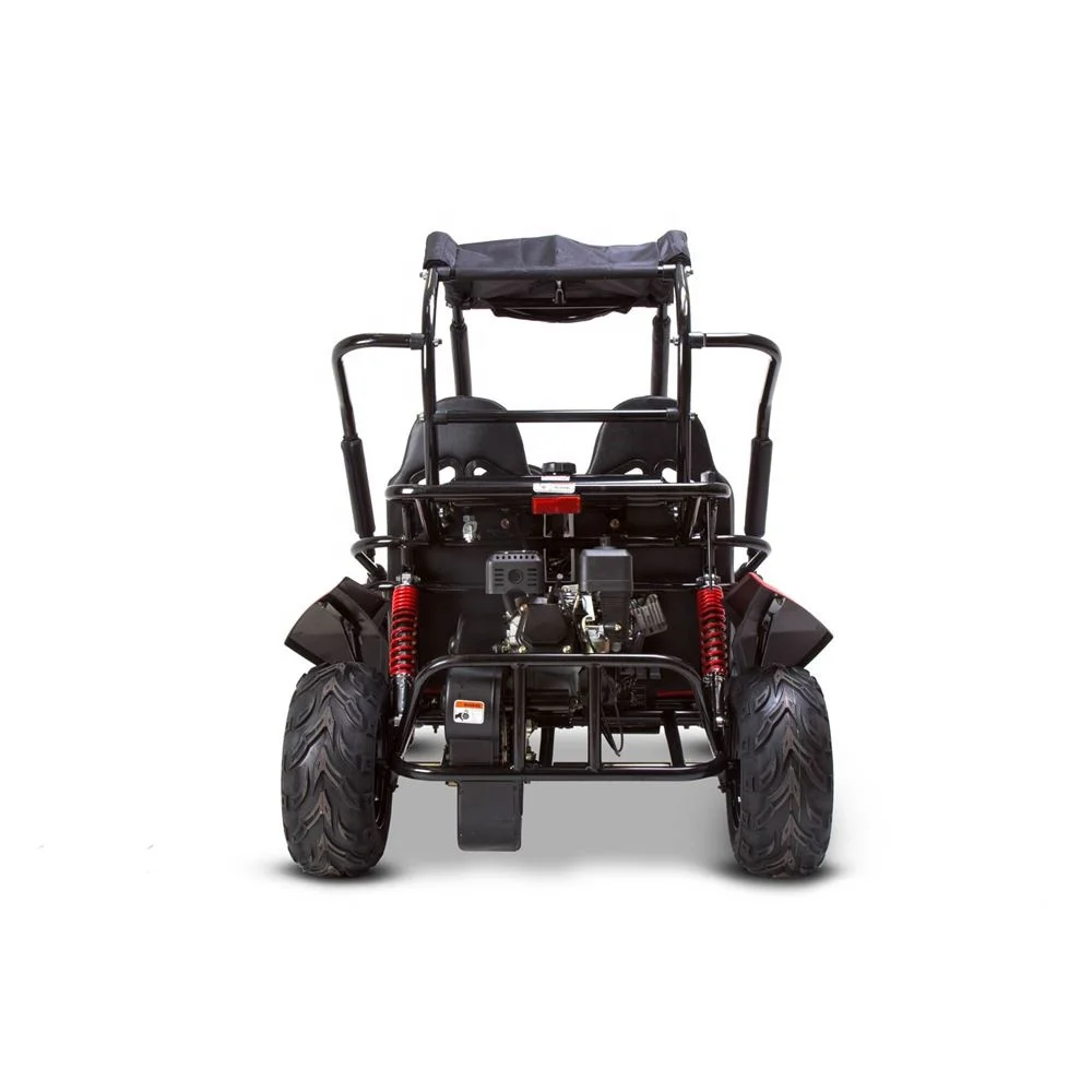 Tao Motor 200cc Motor 125cc Automatic Hyper Go H14bm 1/14 Brushless Rc Cars for Adults F Mini Car 150 Cc 36V Buggy 150cc 10inch view 5
