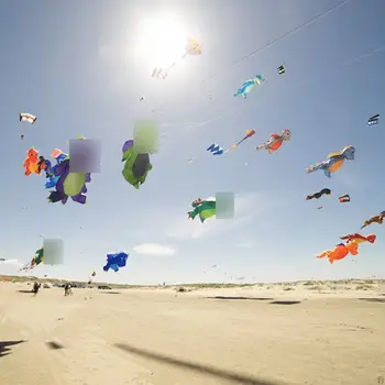 9公里5米龍形風箏線洗衣吊墜軟充氣表演風箏,適用於風箏節,30D防撕裂尼龍布料(接受批發) 10 最佳銷售 龍風箏 - №8