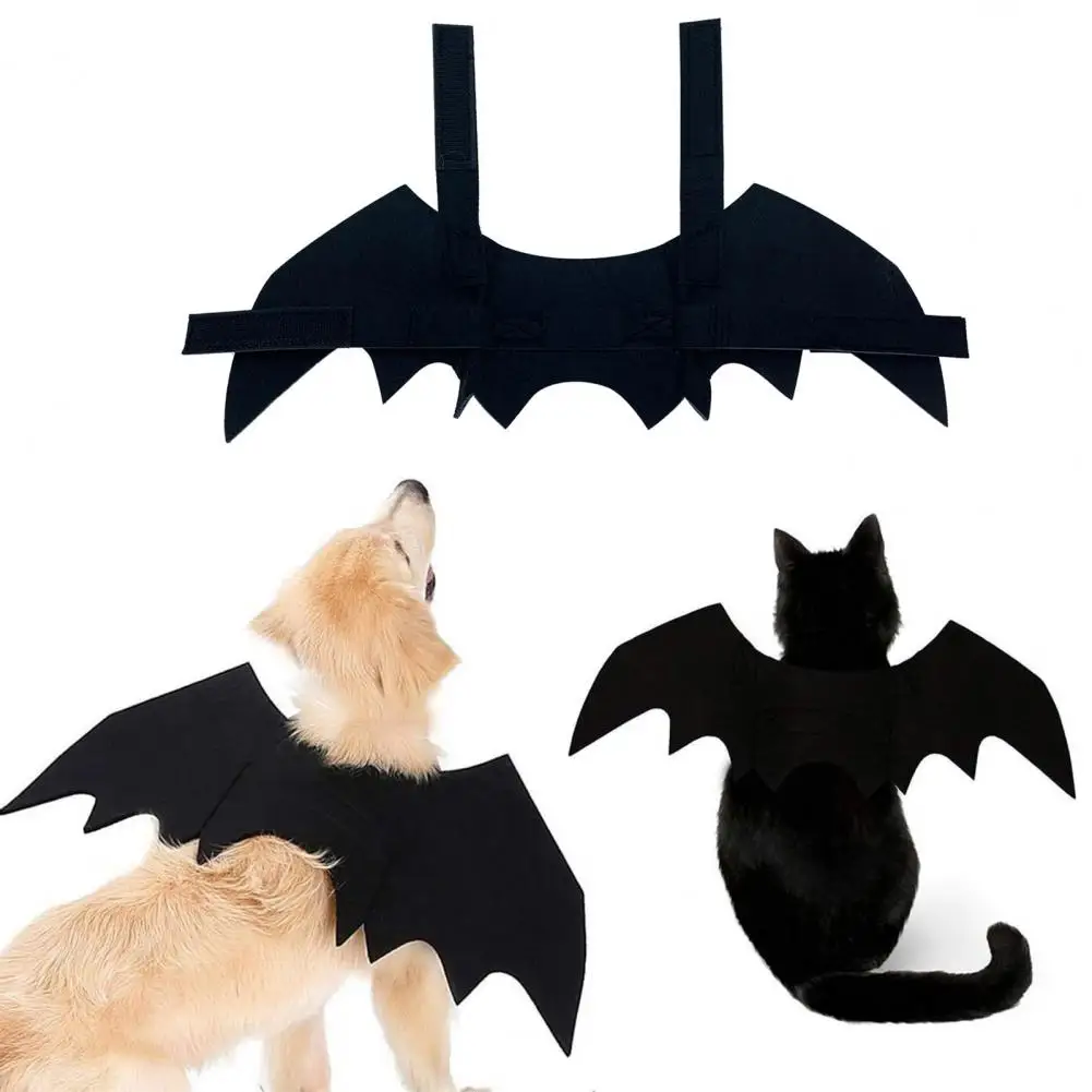 Cat Bat Wings Costu…