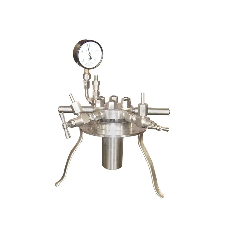 100ml Lab High Pressure Hydrothermal Synthesis Reactor Price