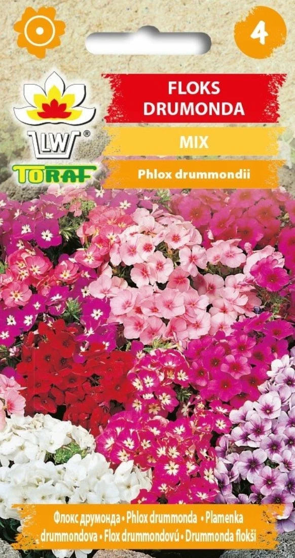 Phlox drumonda MIX mix Bloemzaden-499 Toraf