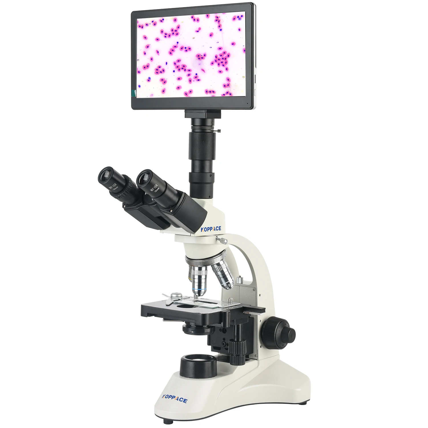 KOPPACE 40X-1600X Electronic Biology Laboratory Microscope 2 Million Pixels 9-inch HD Display