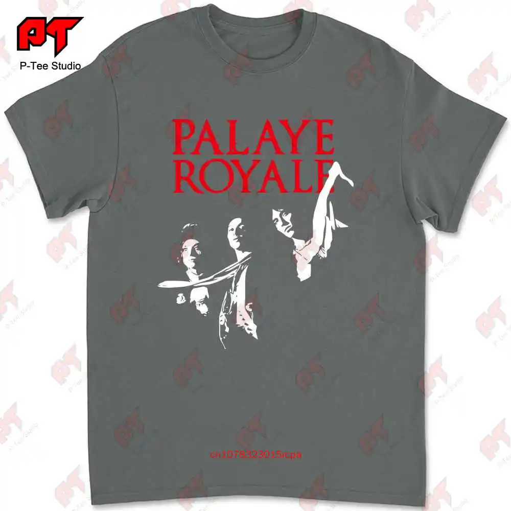 Grappige Verjaardag Vader Moederdag Voor V3sd Palaye Royale T-Shirt