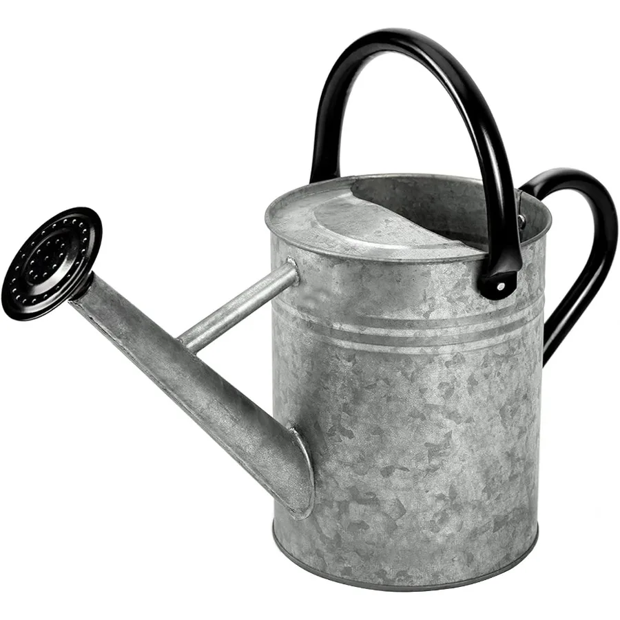 

Stainless Steel One Gallon Watering Can for Outdoor and Indoor Garden Plants Durable Silver Metal Watering Can with Long Spout