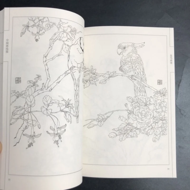 كتاب تلوين للبالغين والمراهقين يتميز بتصميمات سهلة وبسيطة لرسم الرسم الصيني للاسترخاء