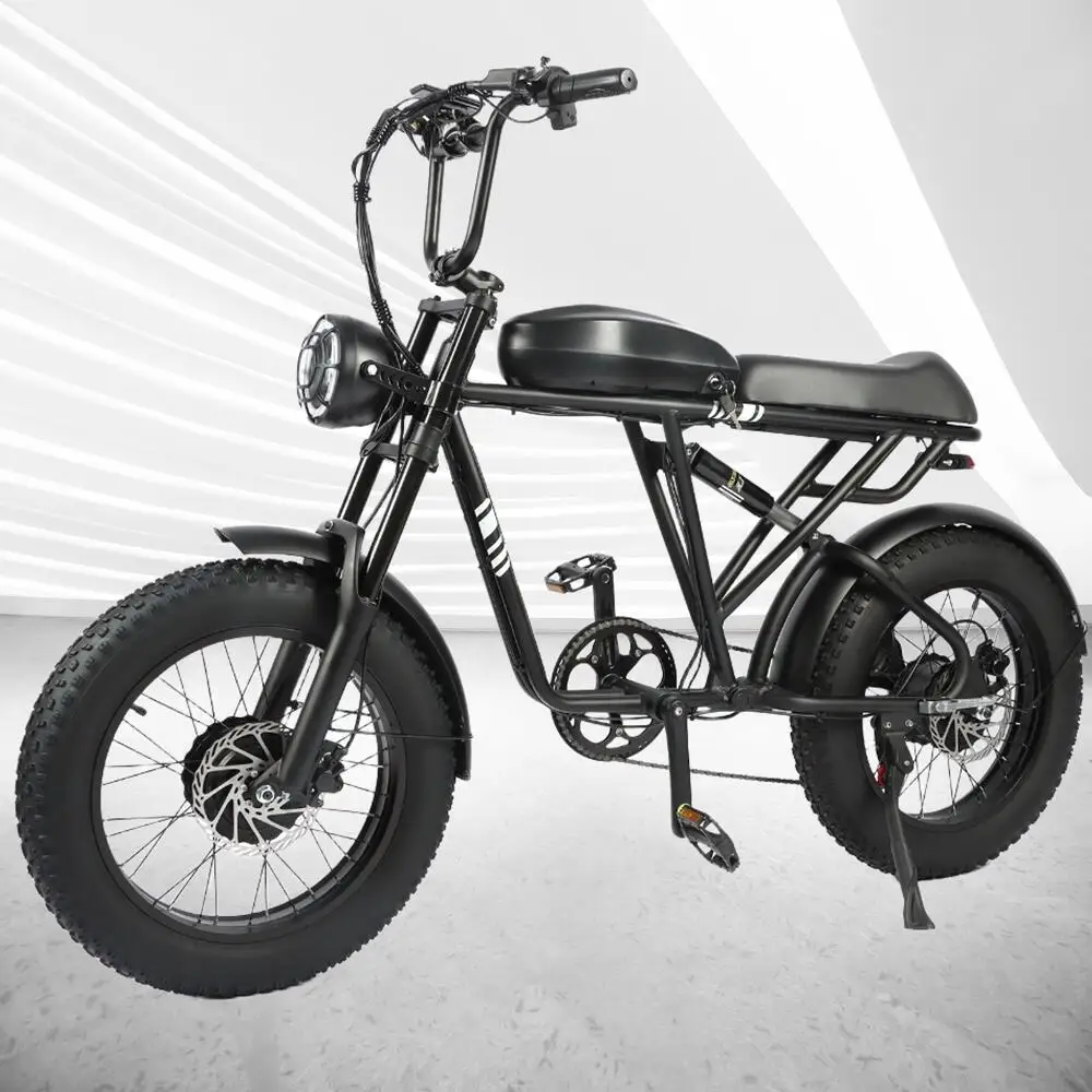 

1000W+1000W Adult Electric Motorcycles Bike, 20 Inch Tyre Fat Tire Mountain Electric Motorcycles Bicycle 48V 20AH Battery