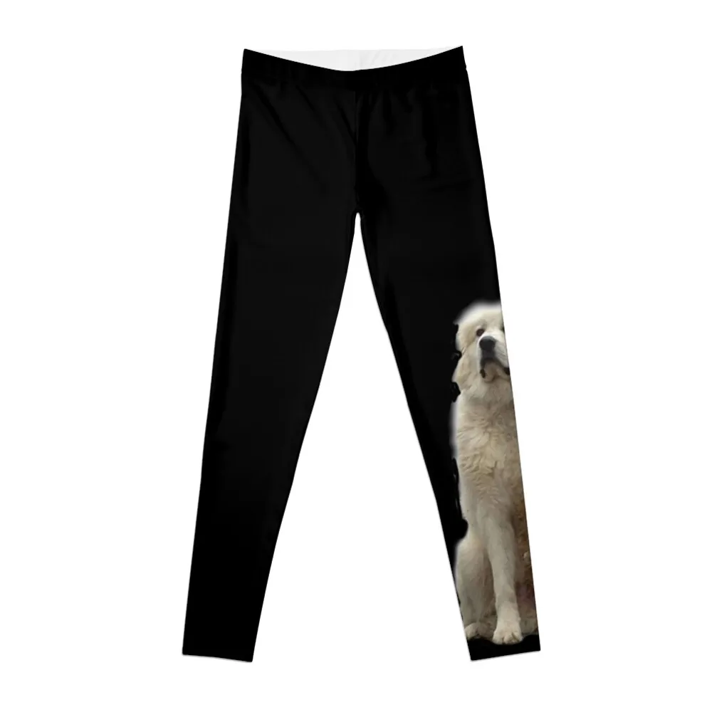 

The Great Pyrenees mountain dog Leggings Sweatpants for women yoga pants legging push up women