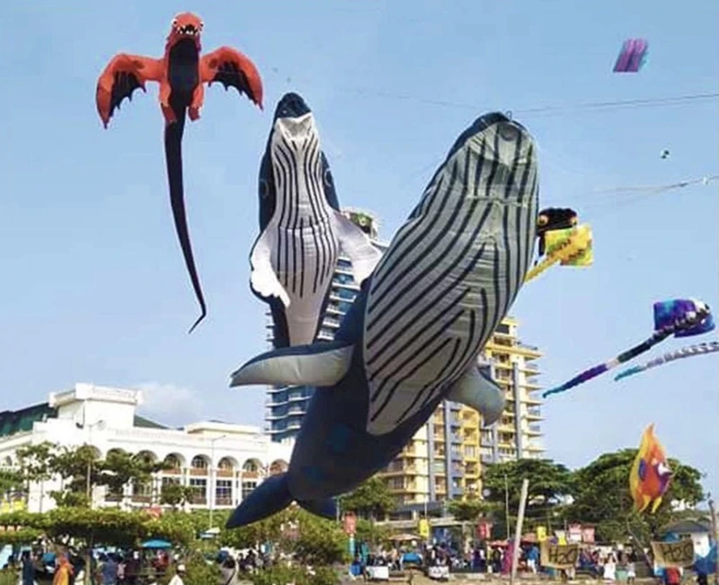 17m requin cerf-volant baleine volante cerf-volant pendentif sports amusants en plein air cerf-volants de parachute pour adultes jouet sport jeu de plein air koi poulpe bobine