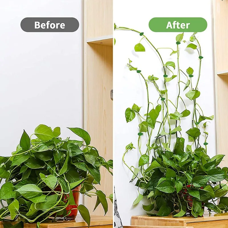 Invisible Plant Climbing Wall Fixture Clips 10/30/50Pcs PcsRattan Vine Bracket Fixed Buckle Leaf Clips Traction Holder Garden
